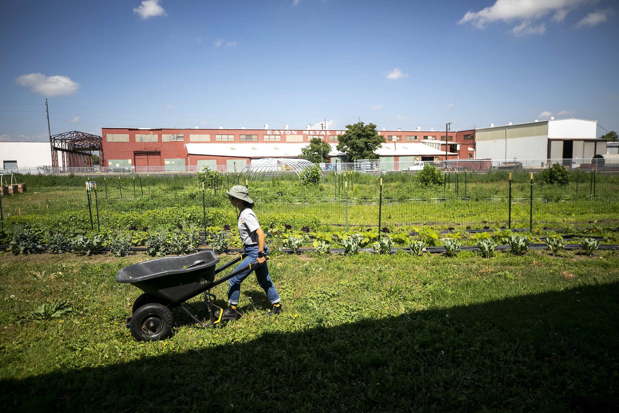 Una persona con sombrero empuja una carretilla por un jardín de Elyria-Swansea en un día soleado. El jardín, que forma parte del proyecto Huerta Urbana, está lleno de diversas plantas y rodeado por una valla. Al fondo, edificios industriales contrastan con el cielo azul claro salpicado de nubes.