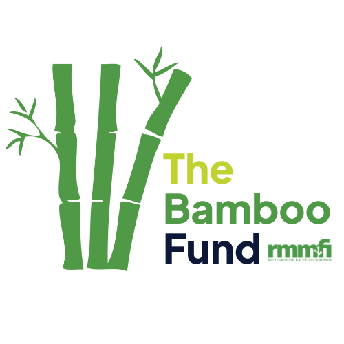 Logo for “The Bamboo Fund” with three stylized green bamboo stalks on the left and the text “The Bamboo Fund” in green and dark blue shades on the right.